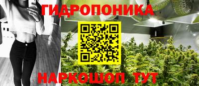 твердый Кинель