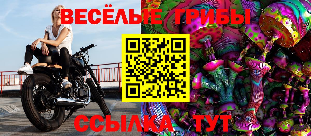 Галлюциногенные грибы Psilocybine cubensis  Псилоцибиновые грибы Cubensis  Клин  Вход с VPN 